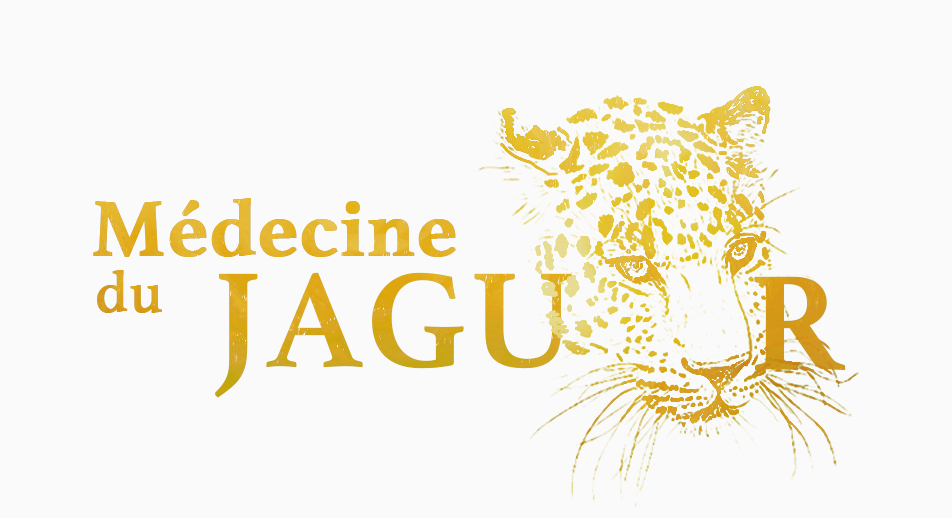 logo Médecine du jaguar maya - Académie Les Voies d'AVA